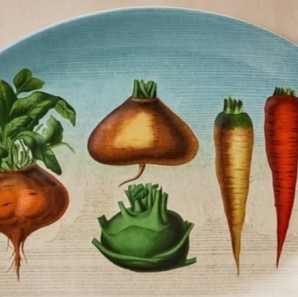 John derian dish